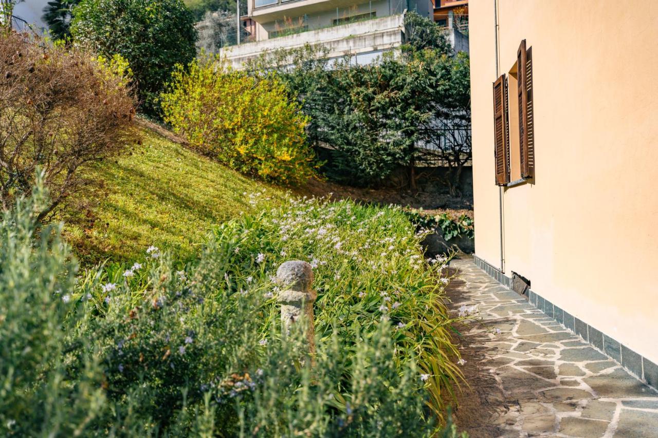 Mary Rose Apartments Oliveto Lario Exterior foto